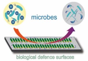 Schematic showing the working concept of microbial repelling as well as killing surfaces.